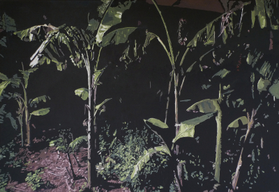 The Smell of Soil ©Peter Weidenbaum