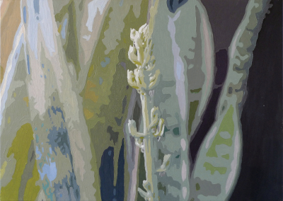 Flower ©Peter Weidenbaum