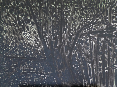 Woods Grey ©Peter Weidenbaum