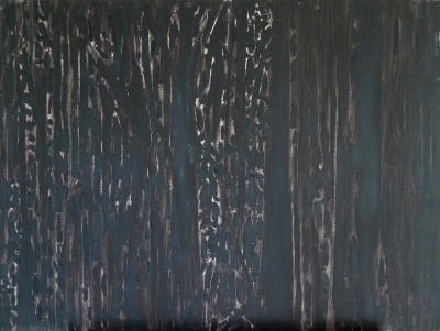 Woods black ©Peter Weidenbaum